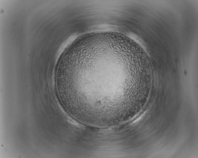 X0000072941477200607211049