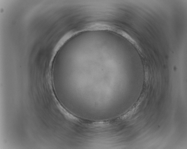 X0000072941478200607211049