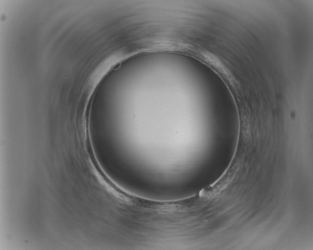 X0000072941479200607211049