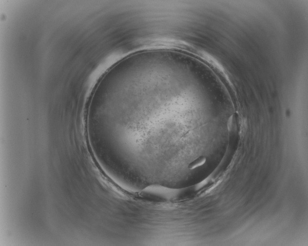 X0000072941480200607211049