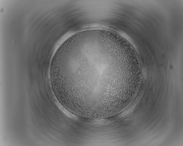 X0000072941482200607211049