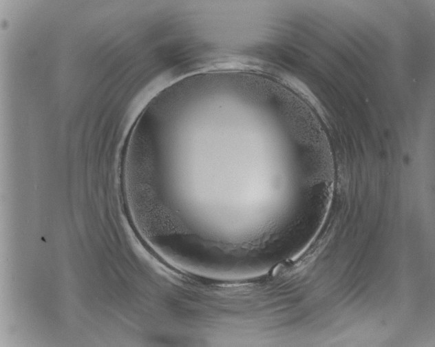 X0000072941483200607211049