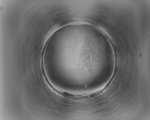 X0000072941484200607211049