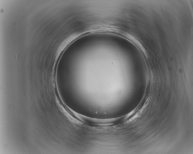 X0000072941485200607211049