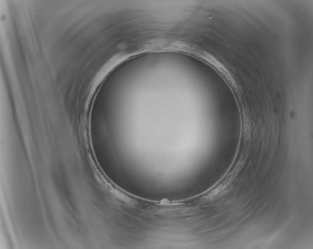 X0000072941486200607211049