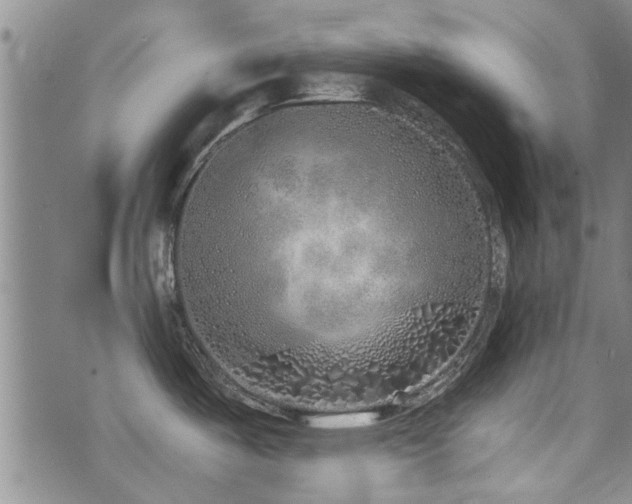 X0000072941487200607211049