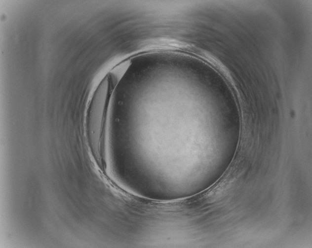 X0000072941488200607211049