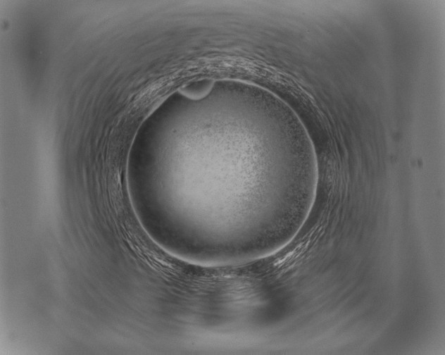 X0000072941489200607211048