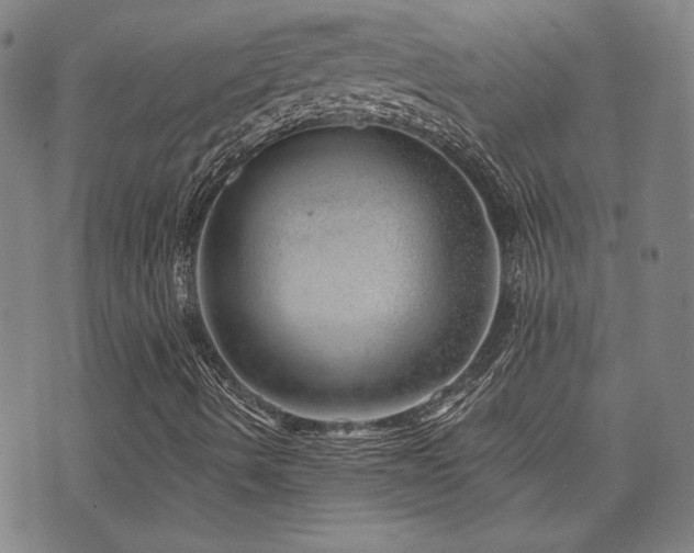 X0000072941490200607211048