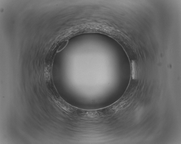 X0000072941491200607211048