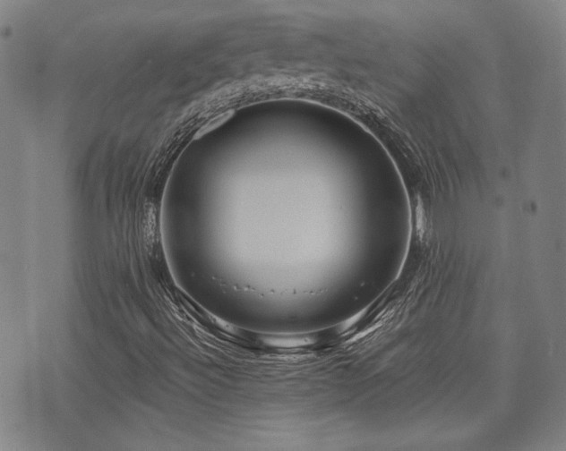 X0000072941492200607211048