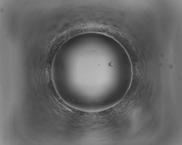 X0000072941493200607211048