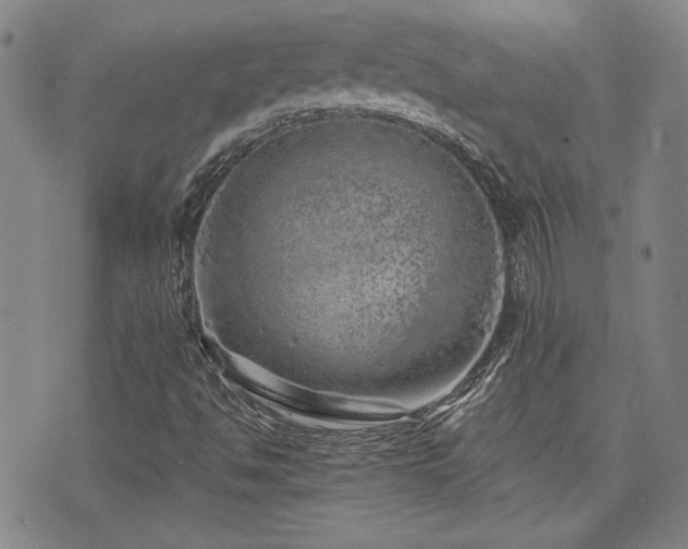 X0000072941494200607211048