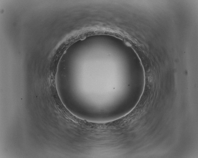 X0000072941495200607211048