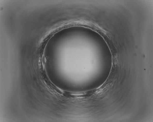 X0000072941496200607211048