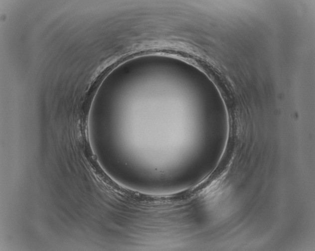 X0000072941497200607211048