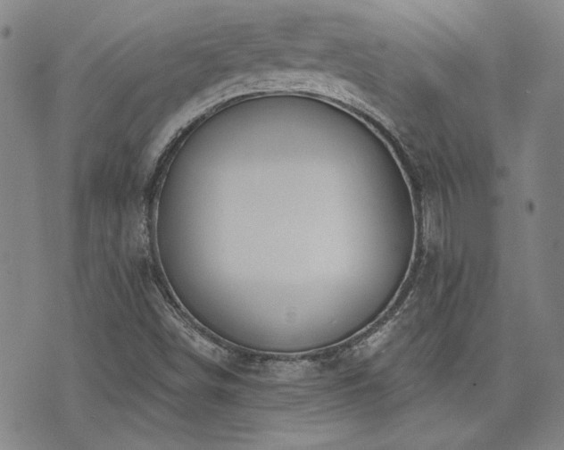 X0000072941498200607211048