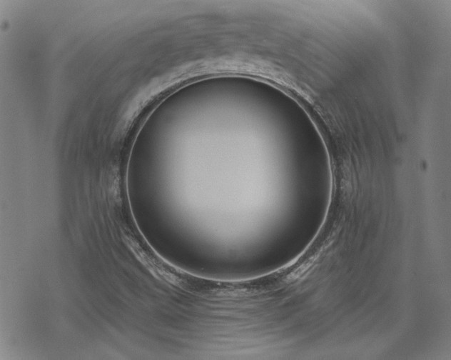 X0000072941499200607211048