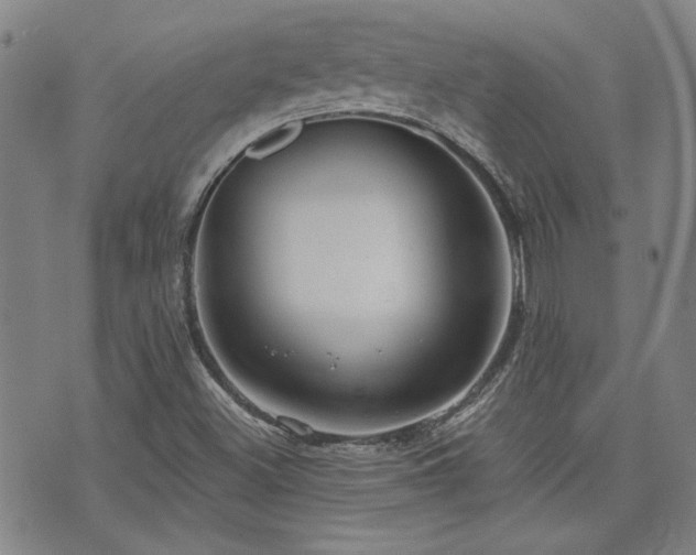 X0000072941500200607211048