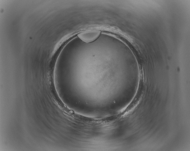 X0000072941501200607211048