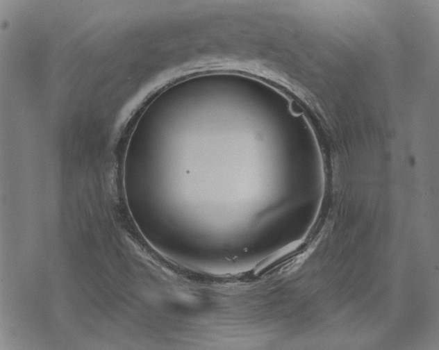 X0000072941502200607211048