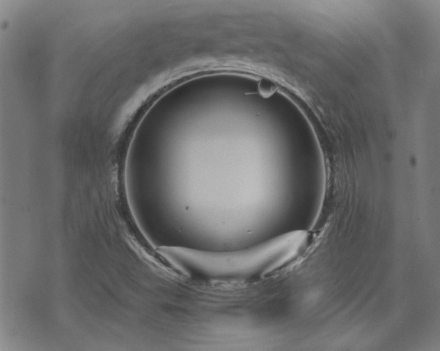 X0000072941503200607211048