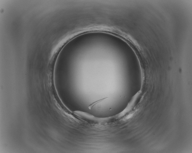 X0000072941504200607211048