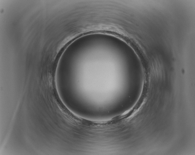 X0000072941505200607211048