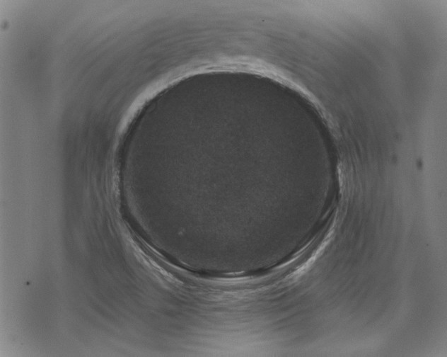 X0000072941506200607211048