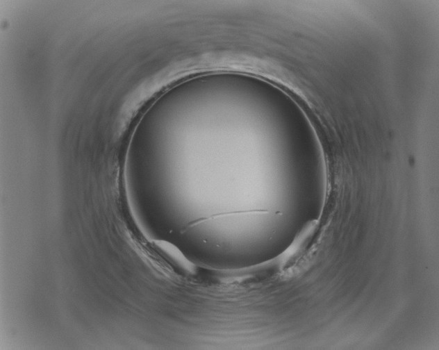 X0000072941507200607211048