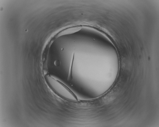 X0000072941508200607211048