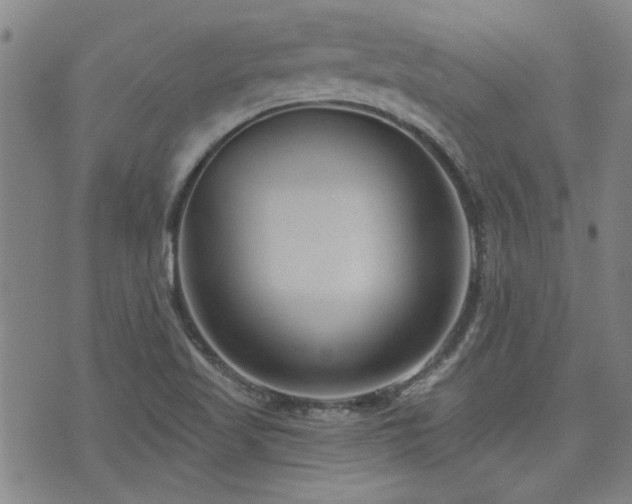 X0000072941509200607211048