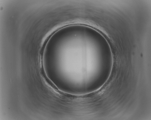 X0000072941510200607211048