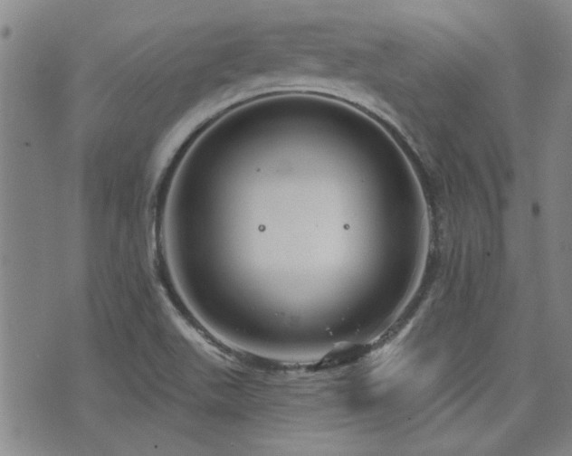 X0000072941511200607211048