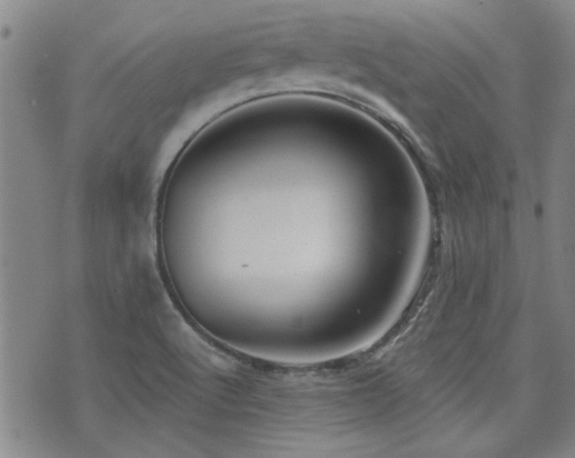 X0000072941512200607211048