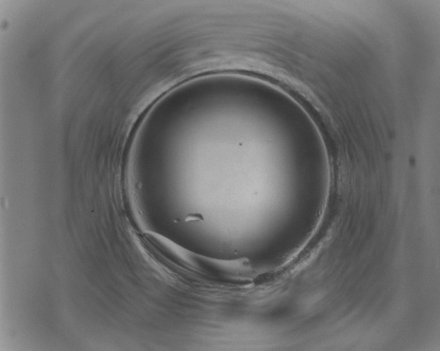 X0000072941513200607211049