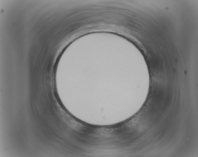 X0000072941514200607211049