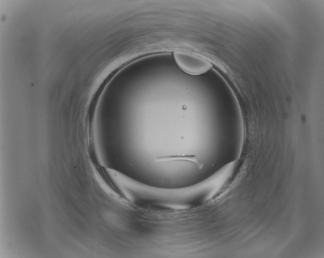 X0000072941515200607211049