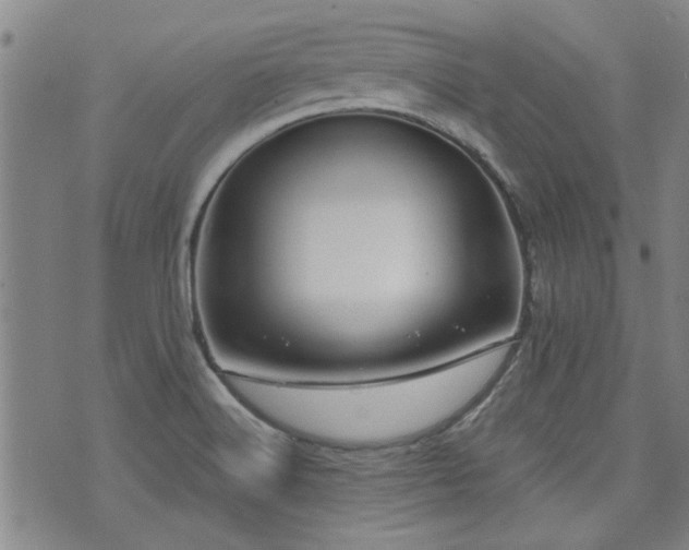 X0000072941516200607211049