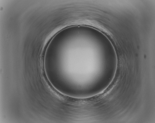 X0000072941517200607211049