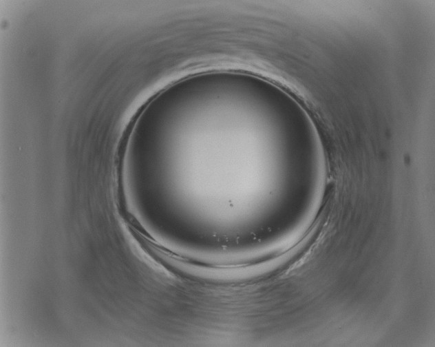 X0000072941518200607211049