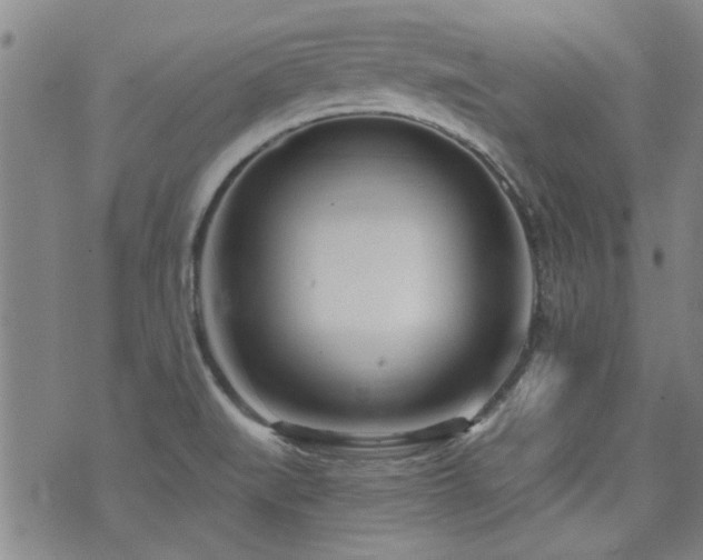 X0000072941519200607211049