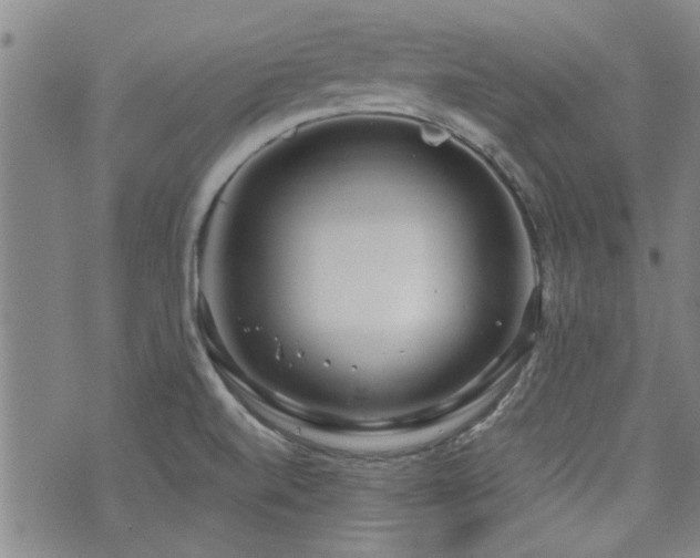 X0000072941520200607211049