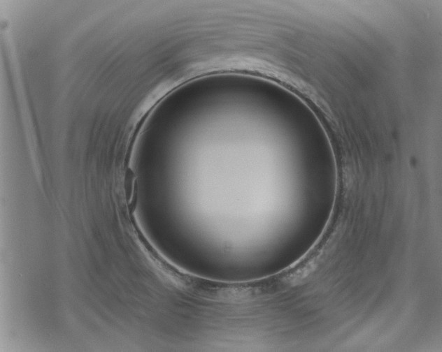 X0000072941521200607211049