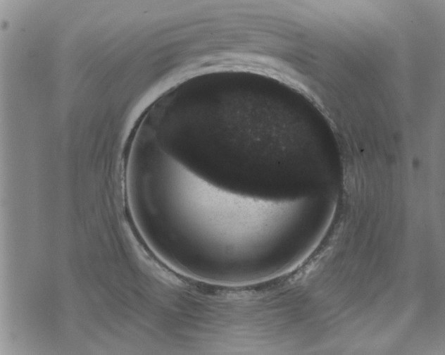 X0000072941522200607211049