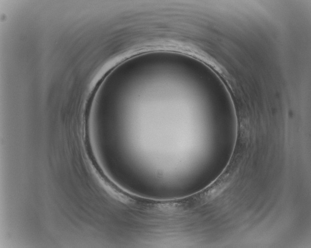 X0000072941523200607211049