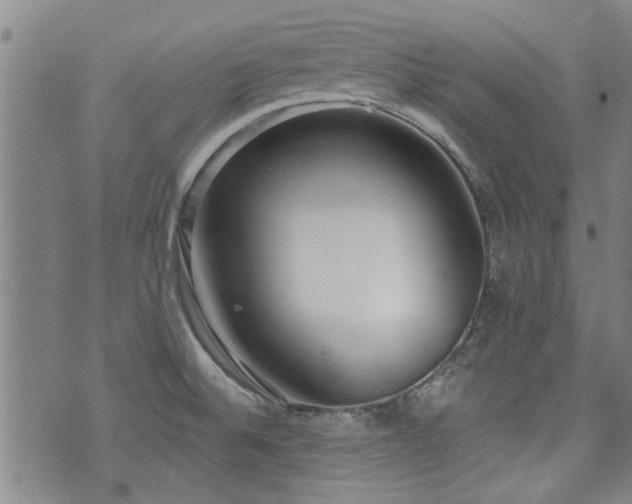 X0000072941524200607211049