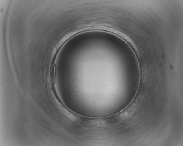 X0000072941525200607211049