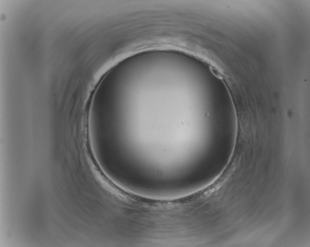 X0000072941526200607211049