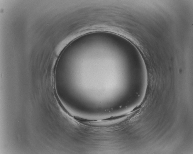 X0000072941527200607211049